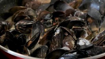 Cooking the Sea Mussels on A Pan Close Up video