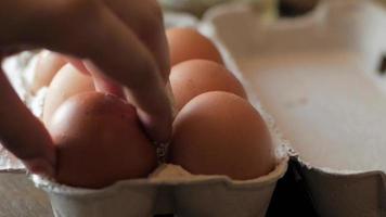 un primo piano di uova di gallina in un cartone video
