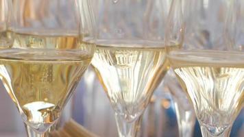 Close up Of Many Glasses with Sparkling Wine video