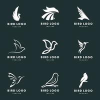 pájaro, logotipo, conjunto, vector, icono, ilustración, diseño vector