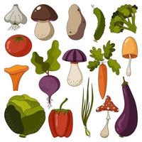 Icon set of autumn raw vegetables and mushrooms on a white background. vector