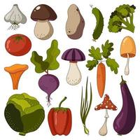 conjunto de iconos de otoño verduras crudas y setas sobre un fondo blanco. vector