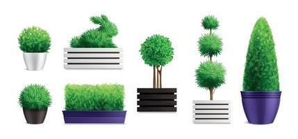 Decorative Garden Bushes In Pots Icon Set vector