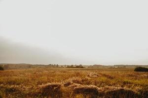 paisaje de panorama de aldea de campo de agricultura amarillo foto