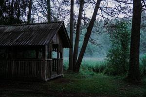 An old wooden gazebo in a green forest. Fog over the swamp photo