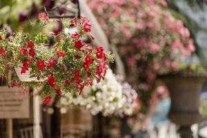 hermoso fondo de la ciudad con macizos de flores en el fondo foto