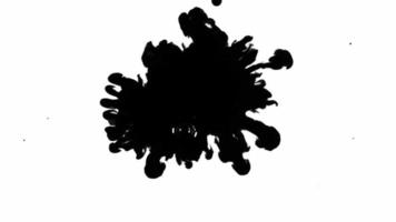 Abstract Ink Drops and Spread on White Background video
