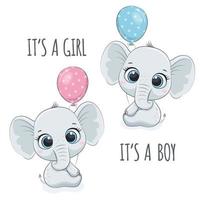 Cute baby elephant with phrase - It's a boy and It's a girl. vector