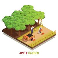 Harvesting Apples Isometric Composition vector