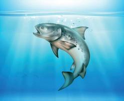 Fish Underwater Realistic Background vector