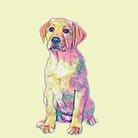 Labrador breed puppy illustration