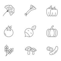 conjuntos de iconos de línea fina de frutas y verduras vector