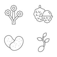 conjuntos de iconos de línea fina de frutas y verduras vector