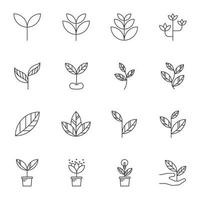 iconos de línea de hoja, ilustración vectorial vector