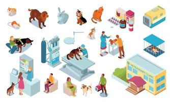 Isometric Veterinary Color Icon Set vector