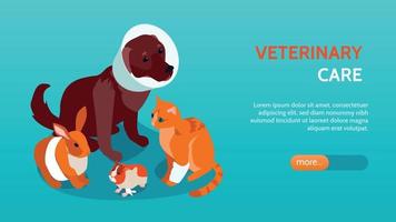 Horizontal And Isometric Veterinary Banner vector