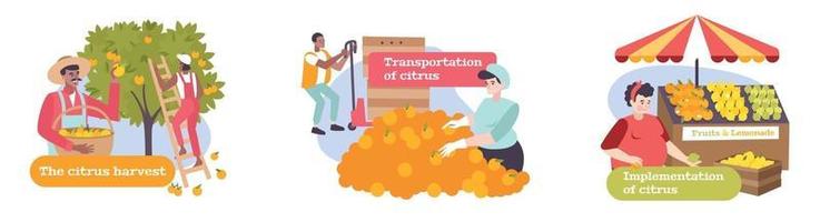 Citrus Flat Compositions vector