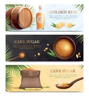 Cane Sugar Realistic Banner Set vector