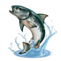 Jumping Fish Realistic Concept vector