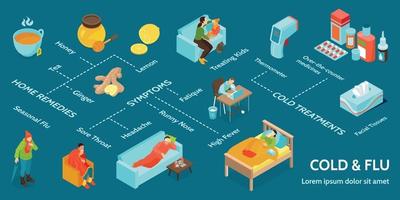 Isometric Cold Flu Virus Infographic vector