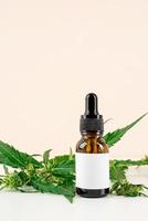 Cbd oil and cannabis leaves cosmetics front view on orange background photo