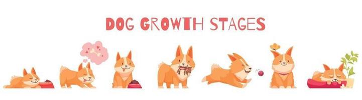 Dog Growth Stages Composition vector