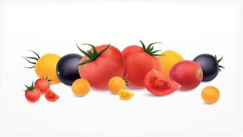 conjunto realista de tomates maduros vector