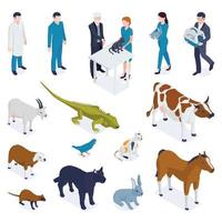 conjunto veterinario de animales isométricos vector