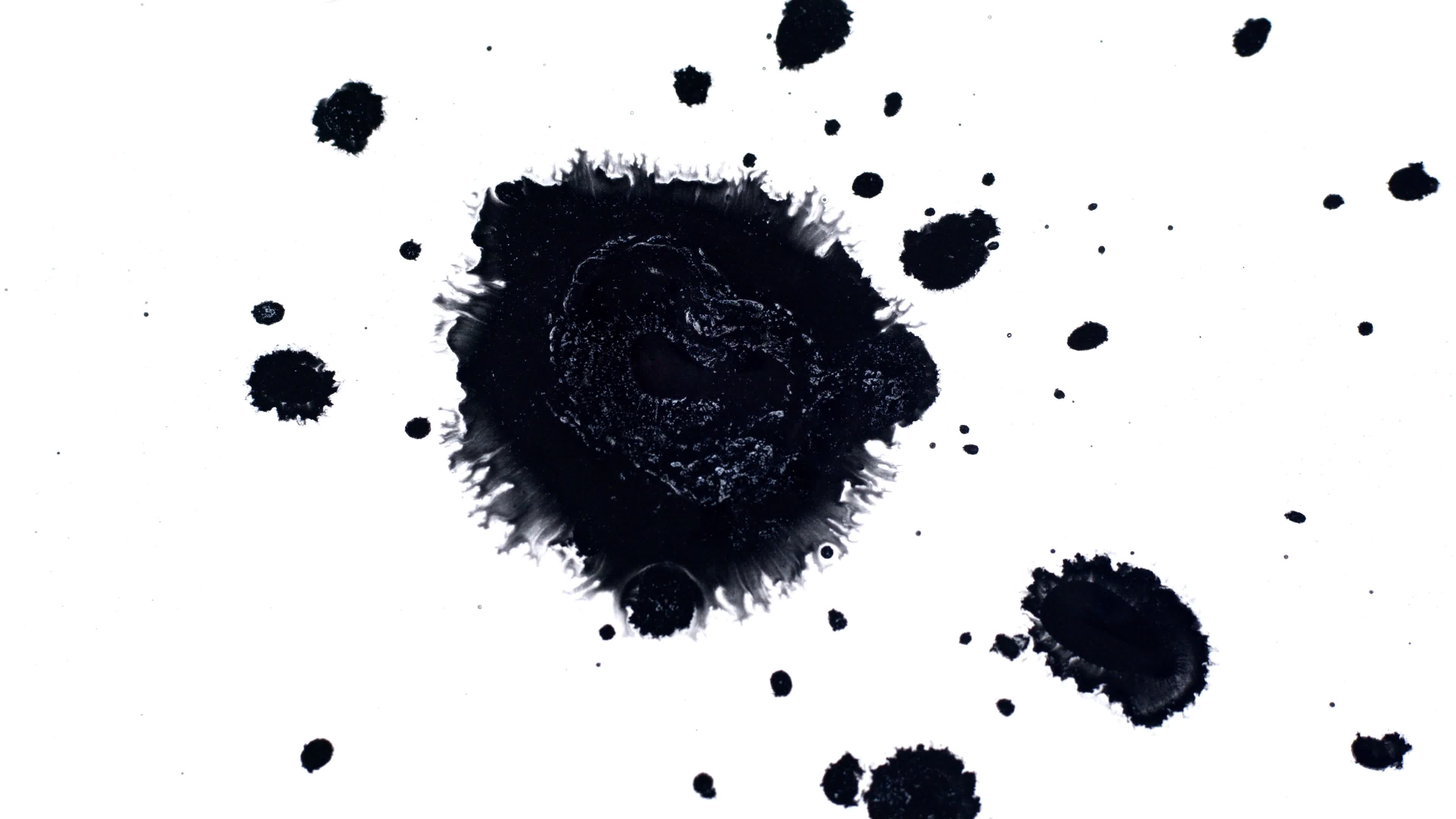 Animated pouring black oil paint against, Stock Video