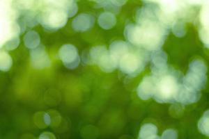 Abstract blur with bokhe of light through the green trees photo