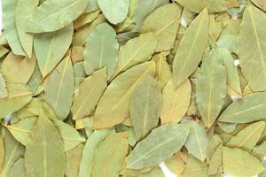 Dried bay leaves isolated on white background photo