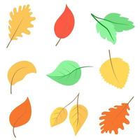 Set of autumn leaves vector illustration