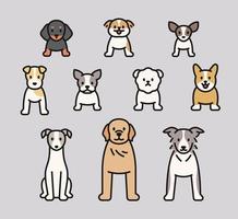 Collection of dog breeds. vector