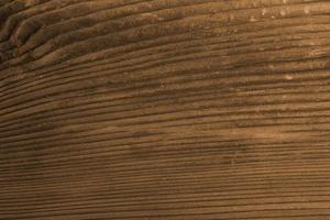 Old wooden texture photo