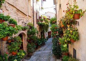 callejón con flores foto