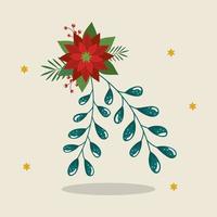 flower christmas decorative with stars vector