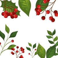 frame of leafs and branches with seeds christmas icons vector