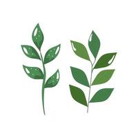 branches with leafs nature ecology isolated icon vector