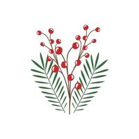branch with leafs and seeds isolated icon vector