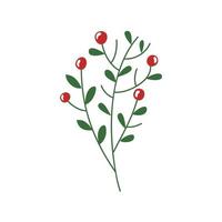 branches with leafs and seeds isolated icon vector