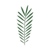 rama con hojas naturaleza ecología icono aislado vector