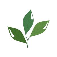 branch with leafs nature ecology isolated icon vector
