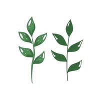 branches with leafs nature ecology isolated icon vector