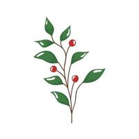 branch with leafs and seeds isolated icon vector