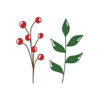 branches with leafs and seeds isolated icon vector