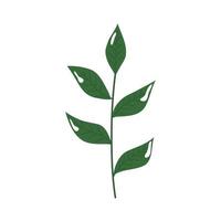branch with leafs nature ecology isolated icon vector