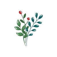 branches with leafs and seeds isolated icon vector