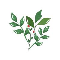 branches with leafs and seeds isolated icon vector