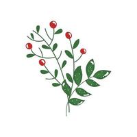 branches with leafs and seeds isolated icon vector