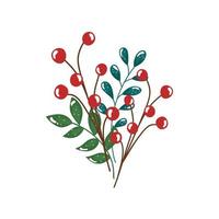 branches with leafs and seeds isolated icon vector